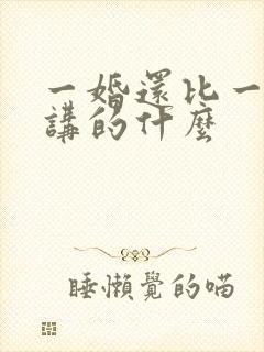 一婚还比一婚高讲的什么