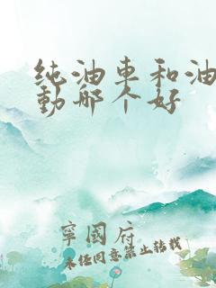 纯油车和油电混动哪个好