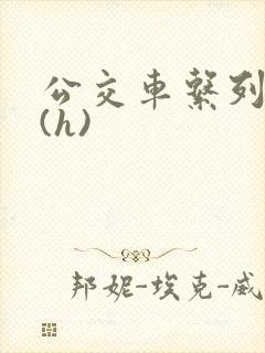 公交车系列小说(h)