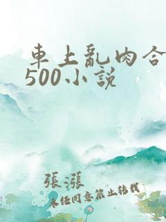 车上乱肉合集乱500小说