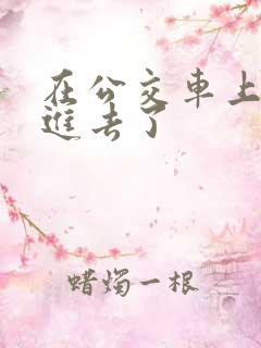 在公交车上被插进去了