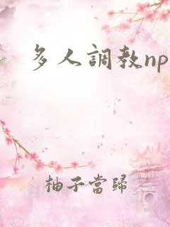 多人调教np