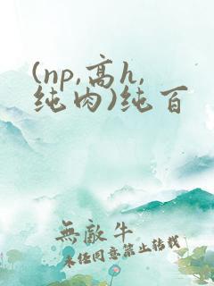 (np,高h,纯肉)纯百