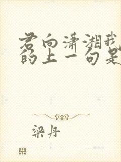 君向潇湘我向秦的上一句是什么