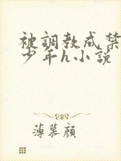 被调教成禁脔的少年h小说
