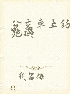 公交车上的激情艳遇