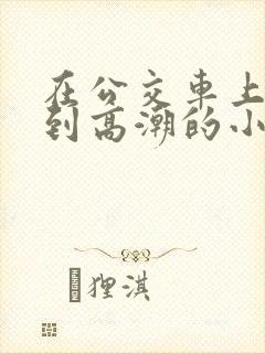 在公交车上被摸到高潮的小说文章
