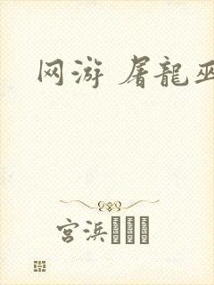 网游 屠龙巫师