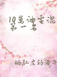 10万油电混动第一名