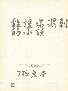 能让你湿到不行的小说