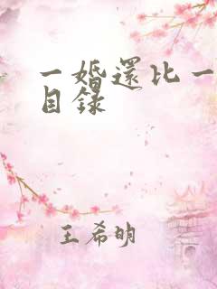 一婚还比一婚高目录