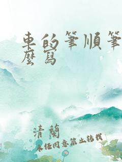 车的笔顺笔画怎么写