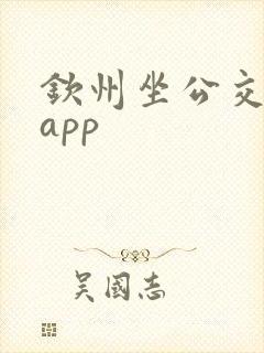 钦州坐公交车的app