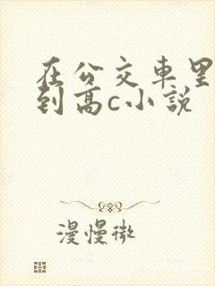 在公交车里c弄到高c小说