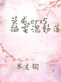 荣威erx5 插电混动落地多少钱