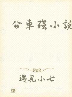 公车强小说