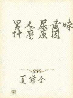 男人尿黄味重是什么原因
