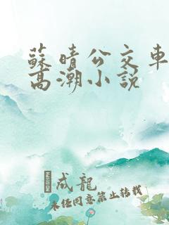苏晴公交车被弄高潮小说
