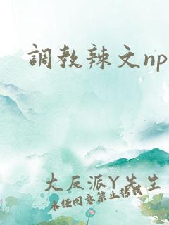 调教辣文np