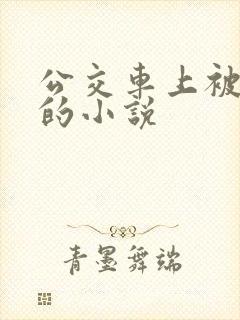 公交车上被高潮的小说