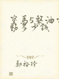 宝马5系油电混动多少钱