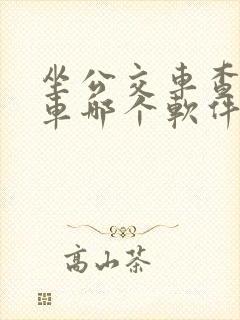 坐公交车查公交车哪个软件最好用