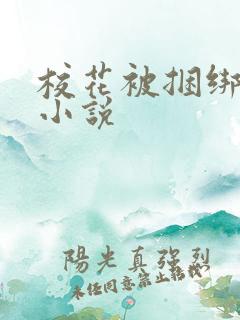 校花被捆绑调教小说