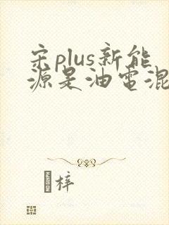 宋plus新能源是油电混合吗