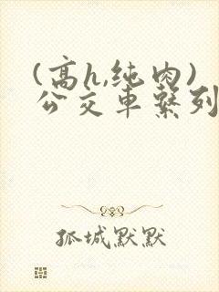(高h,纯肉)公交车系列