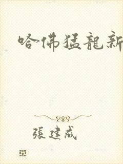 哈佛猛龙新款