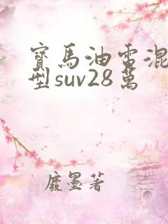 宝马油电混合车型suv28万