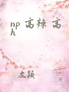 np 高辣 高h