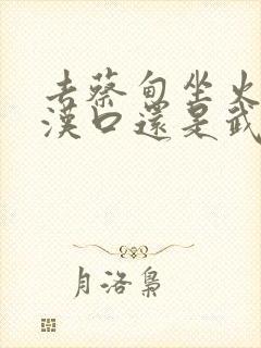 去蔡甸坐火车是汉口还是武昌