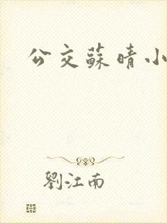 公交苏晴小说