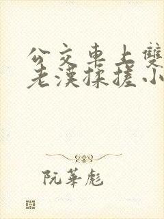 公交车上双乳被老汉揉搓小说