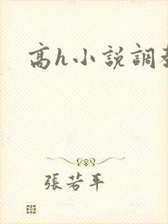 高h小说调教