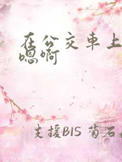 在公交车上嗯啊嗯啊