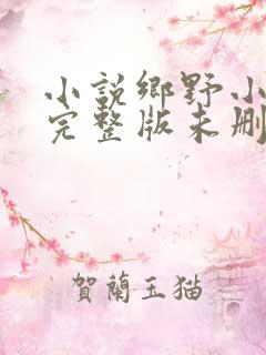 小说乡野小傻医完整版未删减小说