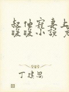 叔他宠妻上瘾古暖暖小说 免费