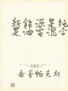 新能源是纯电还是油电混合