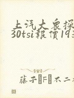 上汽大众探岳330tsi报价19新款
