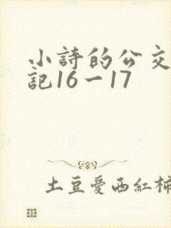 小诗的公交车日记16一17