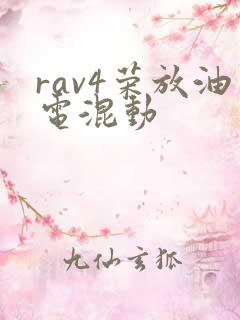 rav4荣放油电混动