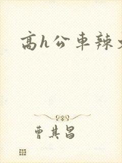 高h公车辣文