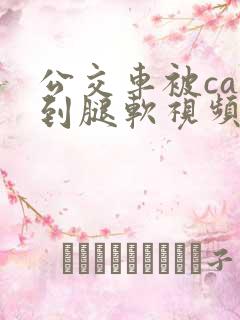 公交车被cao到腿软视频