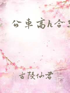 公车高h合集