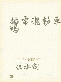 插电混动车能买吗