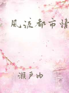 风流都市情