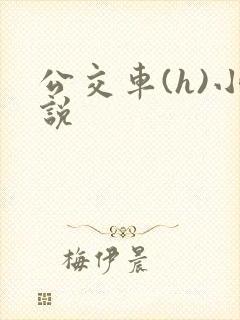 公交车(h)小说