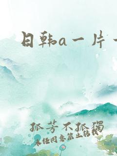 日韩a一片一级